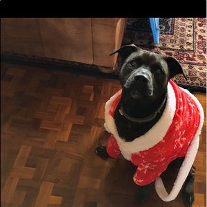 Meet your Posher, Meagan